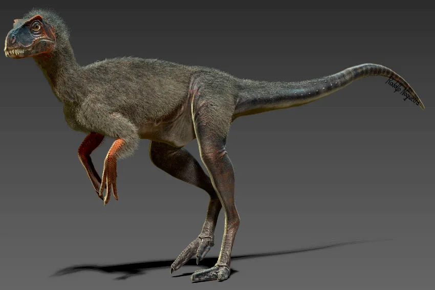 Santanaraptor Placidus