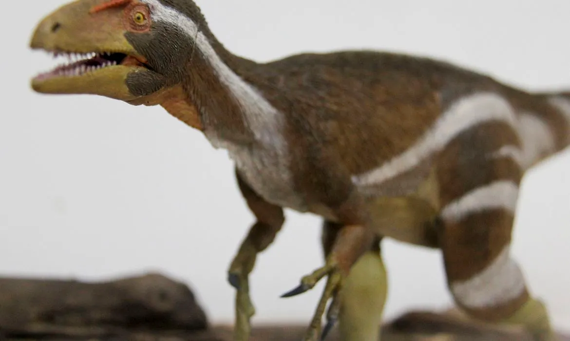 Aratasaurus Museunacionali