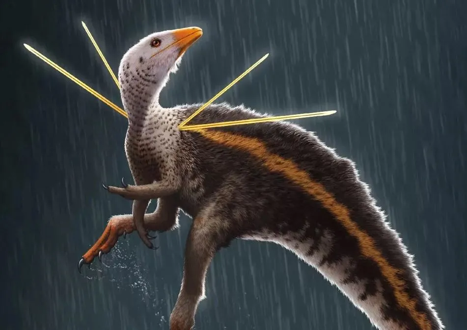 Ubirajara Jubatus