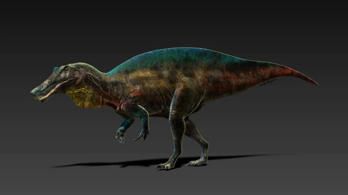 Irritator Challengeri