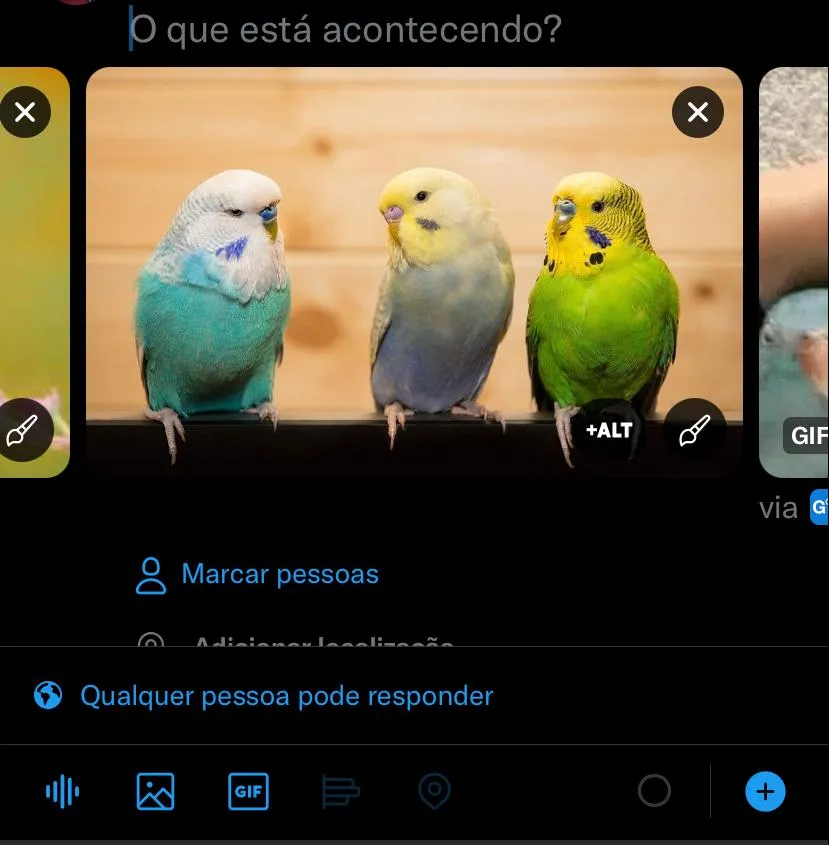 Twitter permite inserir mais de uma foto, vídeo ou gif na mesma publicação