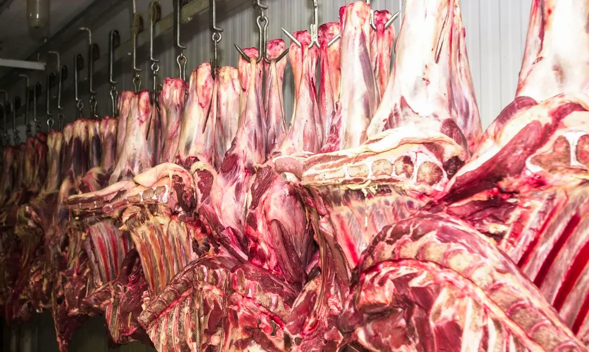 Imagem da notícia: Ministério nega mortes por Infecção da 'doença da vaca louca' na Bahia