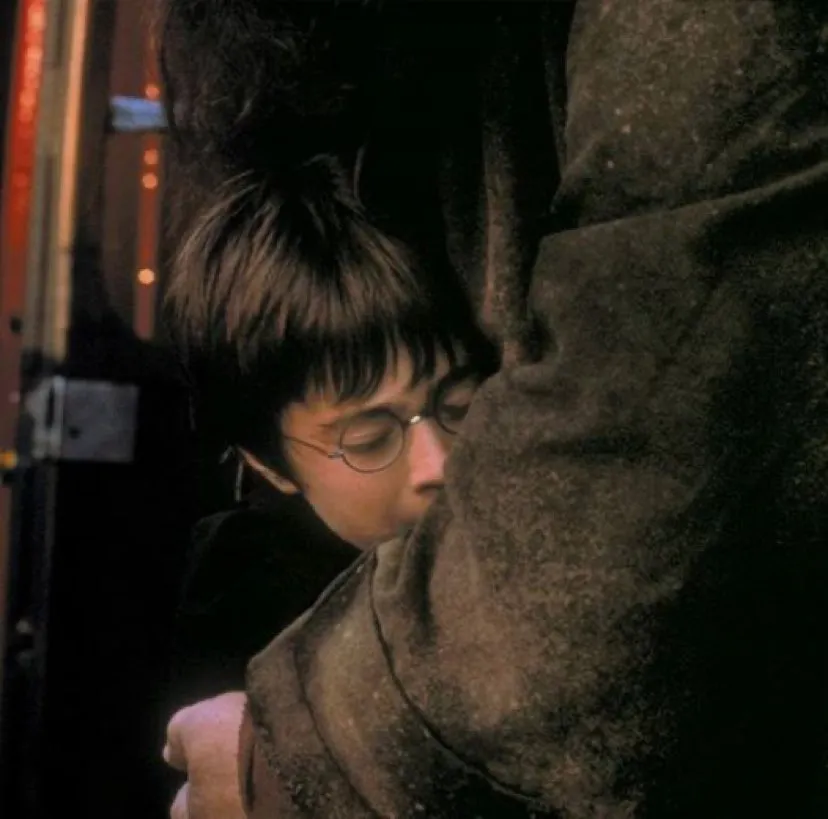 O personagem Hagrid sempre foi muito afetuoso e protetor com Harry