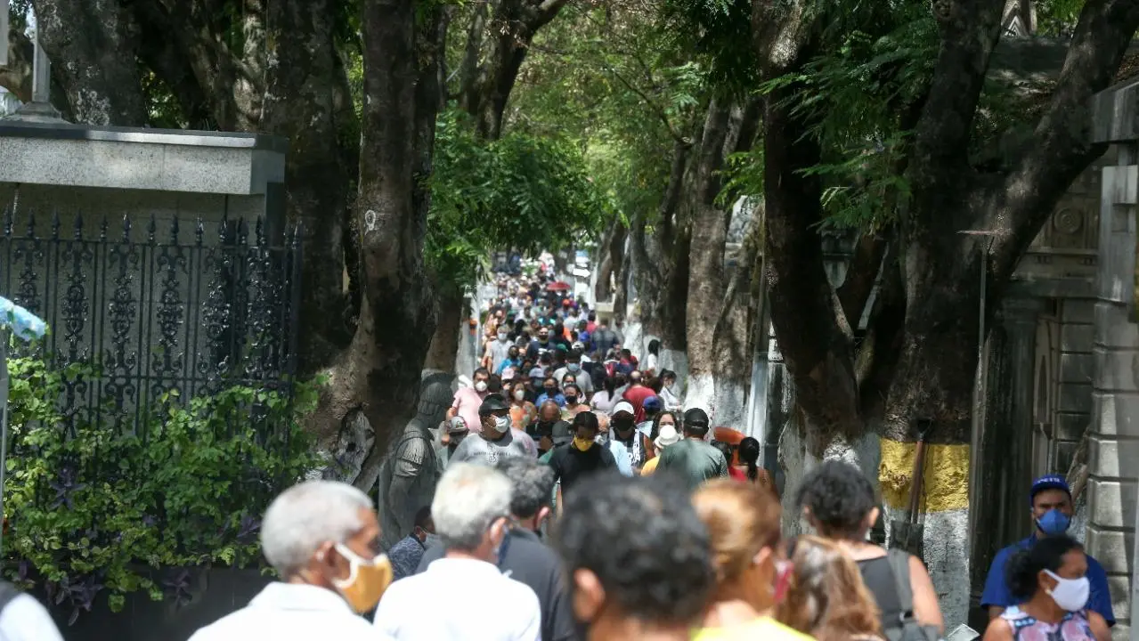 Imagem da notícia: É dia de celebrar nossos mortos