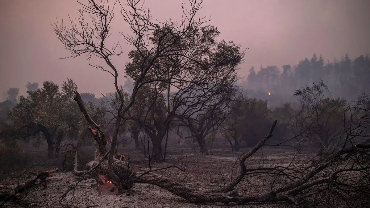 Imagem da notícia: Esqueçam o PIB! Agora, é a sustentabilidade, diz Artur Bruno