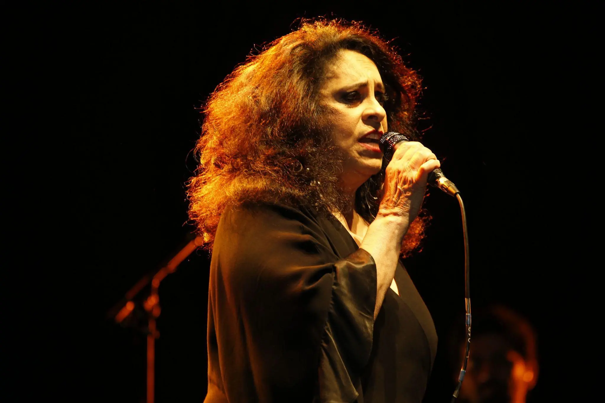 Imagem da notícia: Corpo de Gal Costa chega ao velório; veja homenagens dos fãs