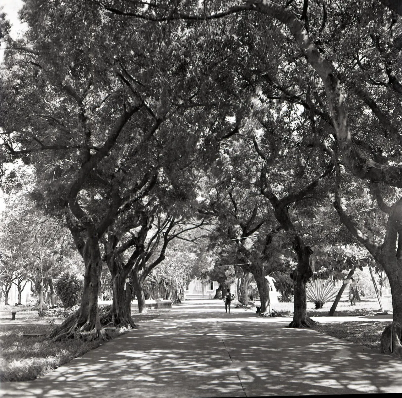 Passeio Público é a praça mais antiga de Fortaleza