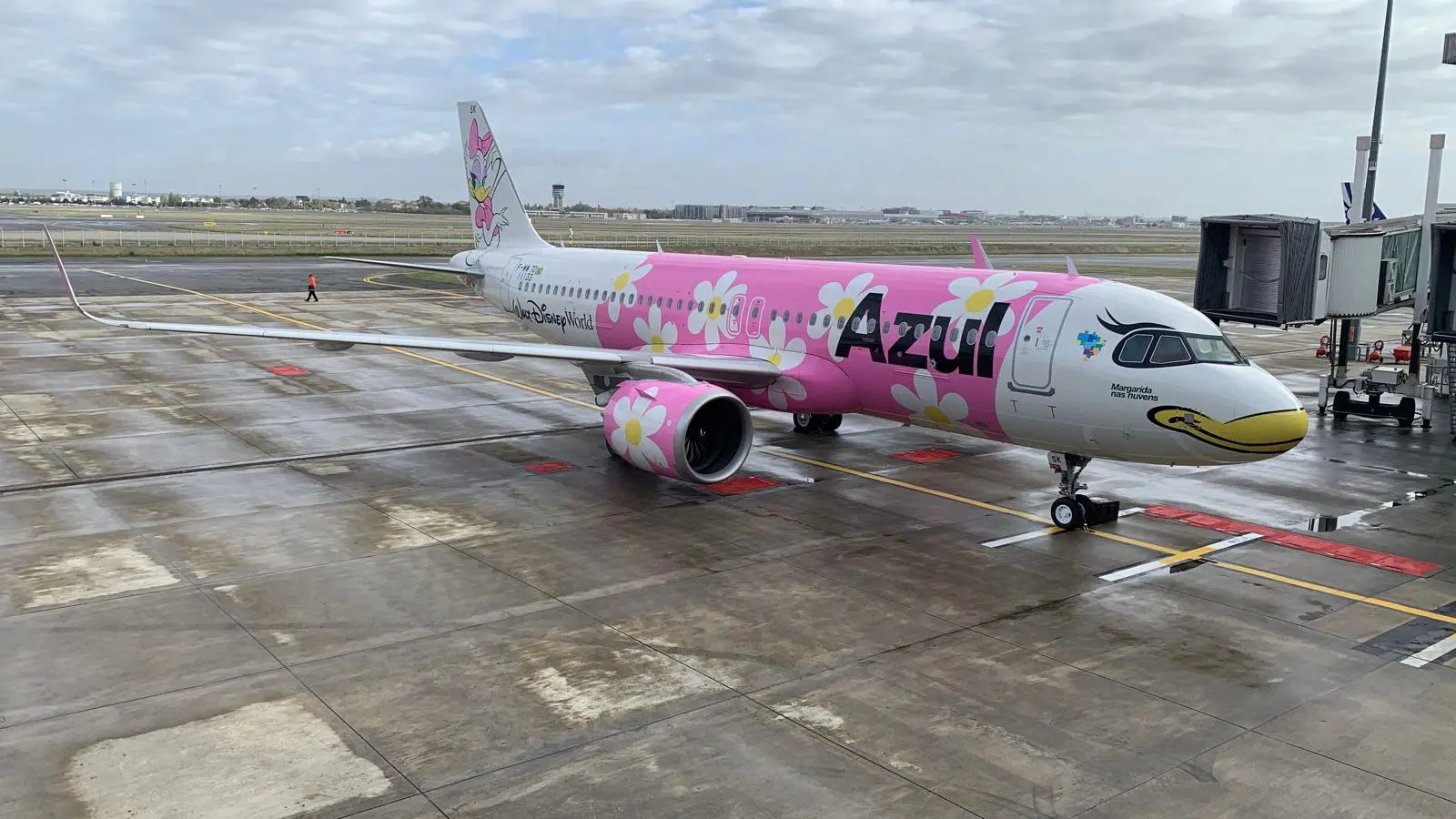 Imagem da notícia: Avião da Margarida: Azul lança quarta aeronave com temática da Disney; veja vídeo