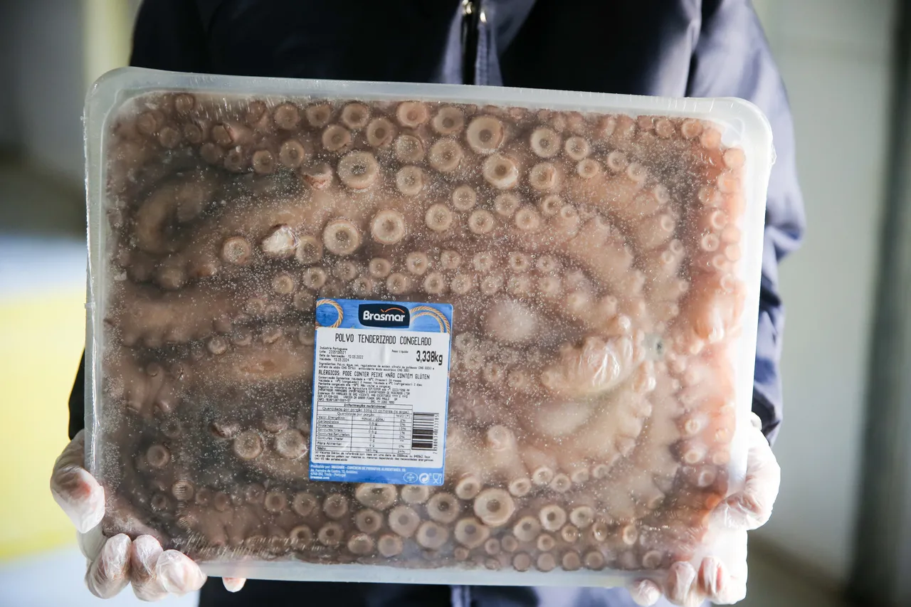 Polvo gigante de Portugal