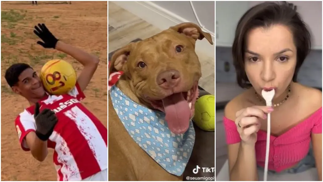 Imagem da notícia: Veja os criadores de conteúdo e vídeos mais vistos no Tik Tok em 2022