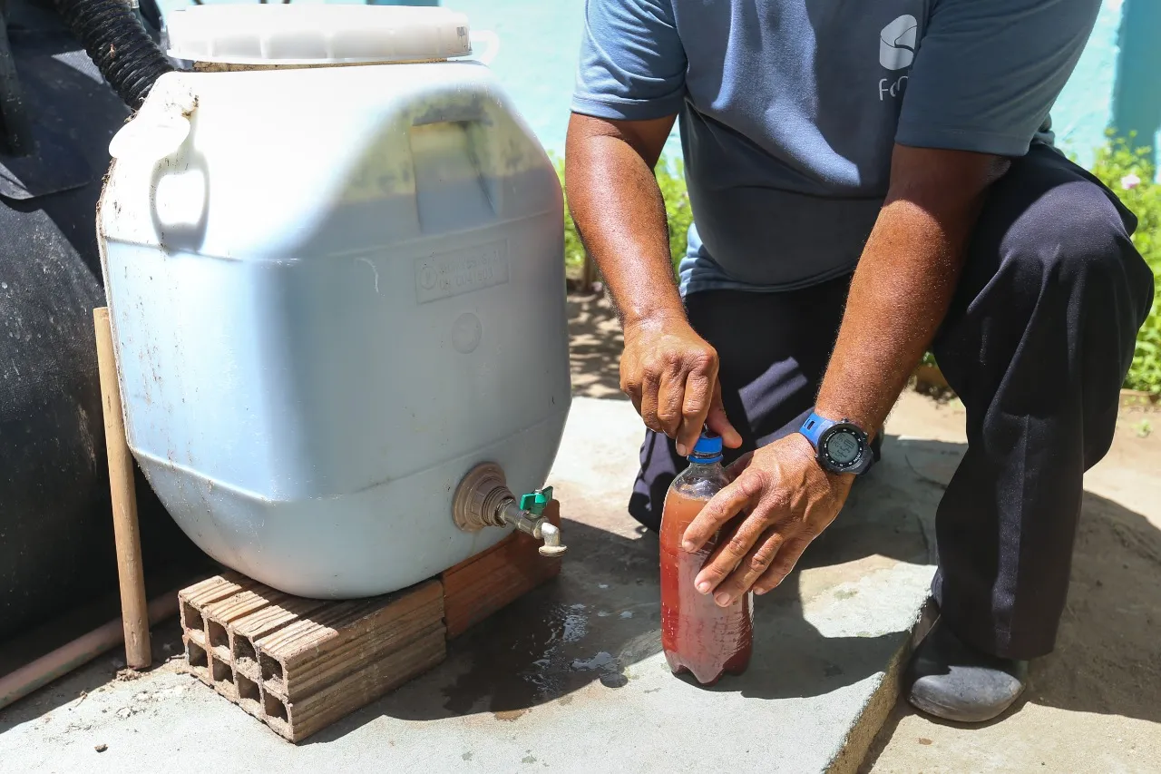Fertilizante é diluído em água e nutre canteiros de plantas e hortas