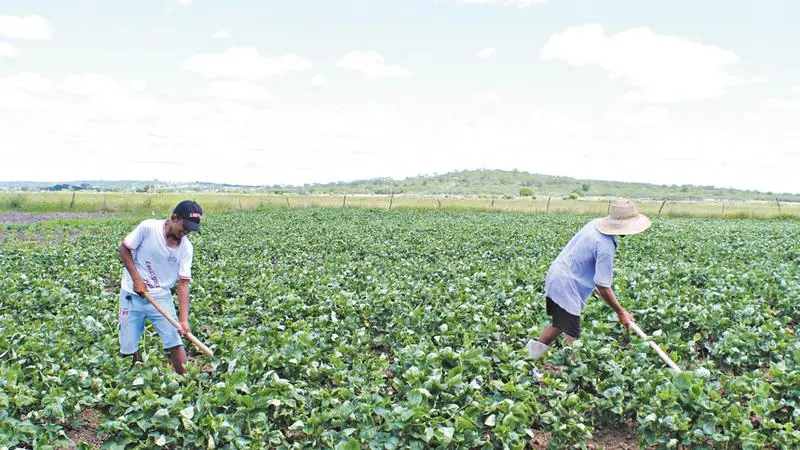 Imagem da notícia: Cartórios dão 50% de desconto para registro de operação de crédito rural