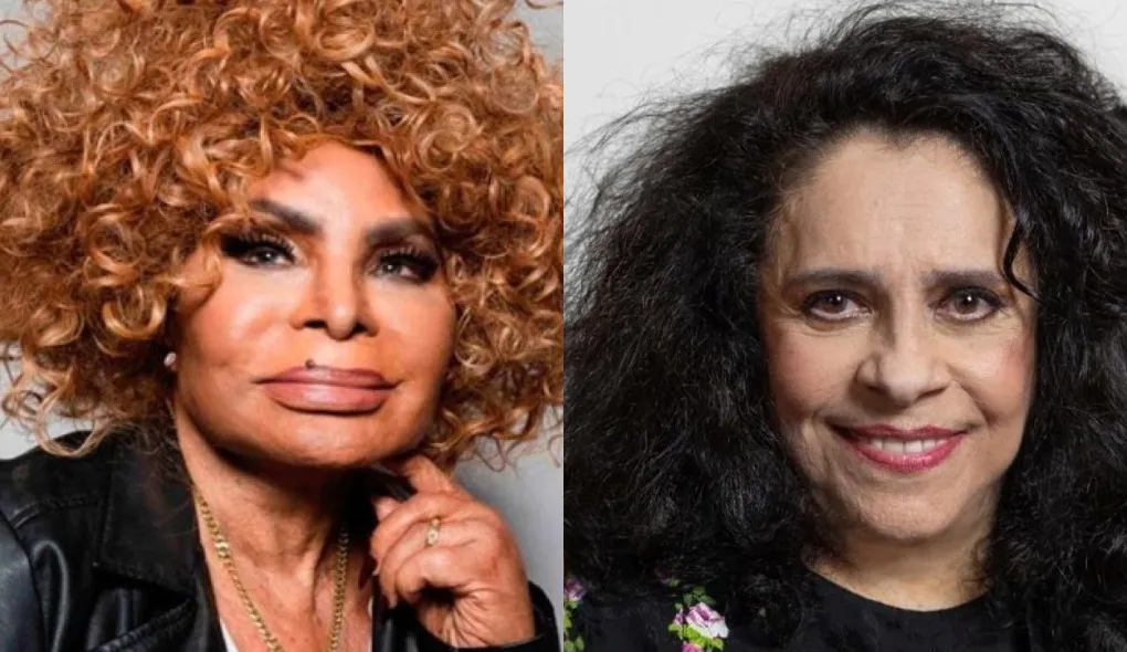 Elza Soares e Gal Costa faleceram neste ano de 2022.