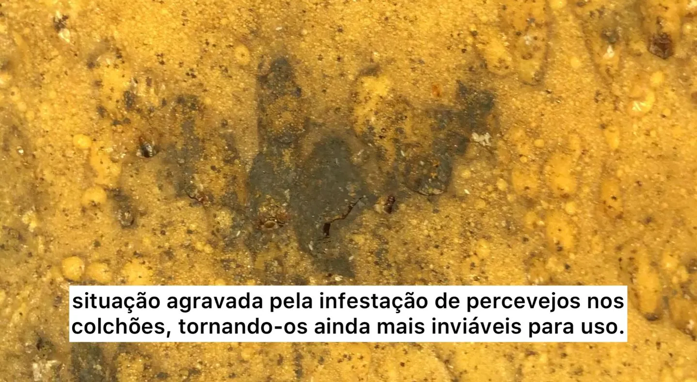 Frame de vídeo gravado pela fiscalização mostra infestação de percevejos em colchões utilizados pelas pessoas em situação de rua na pousada