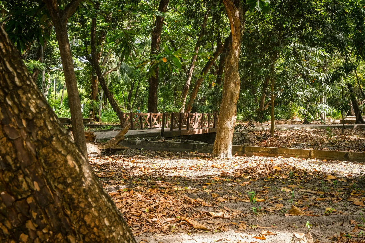 Movimentação pela manhã é pouca, ao contrário de outros espaços verdes da cidade