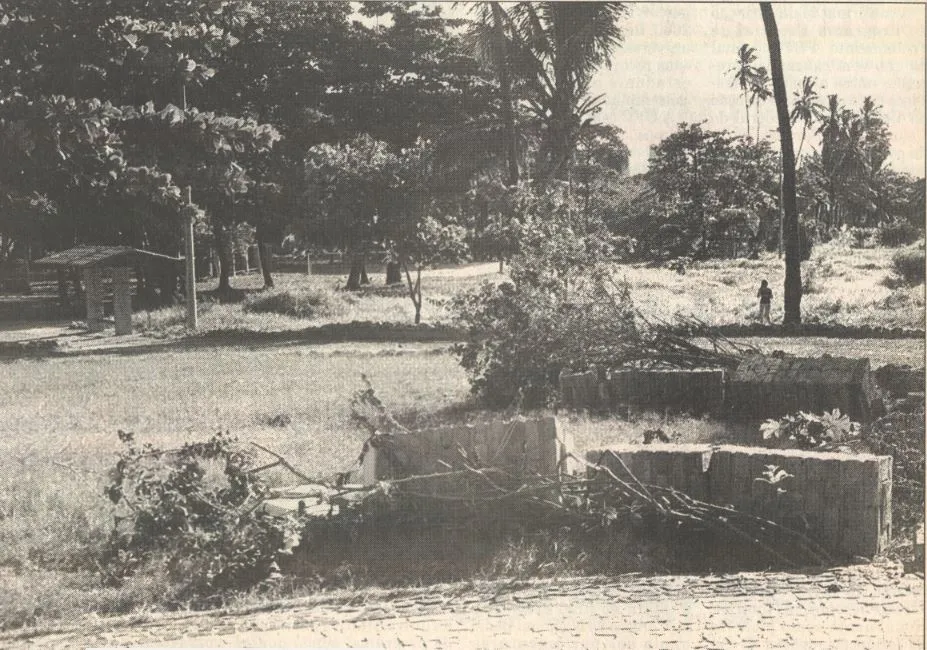 Parque Rio Branco em 1998