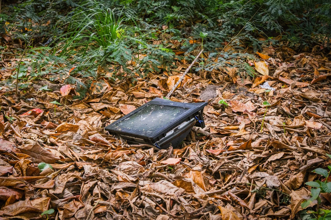 Lixo comum e até eletrônico é flagrado pela extensão do parque
