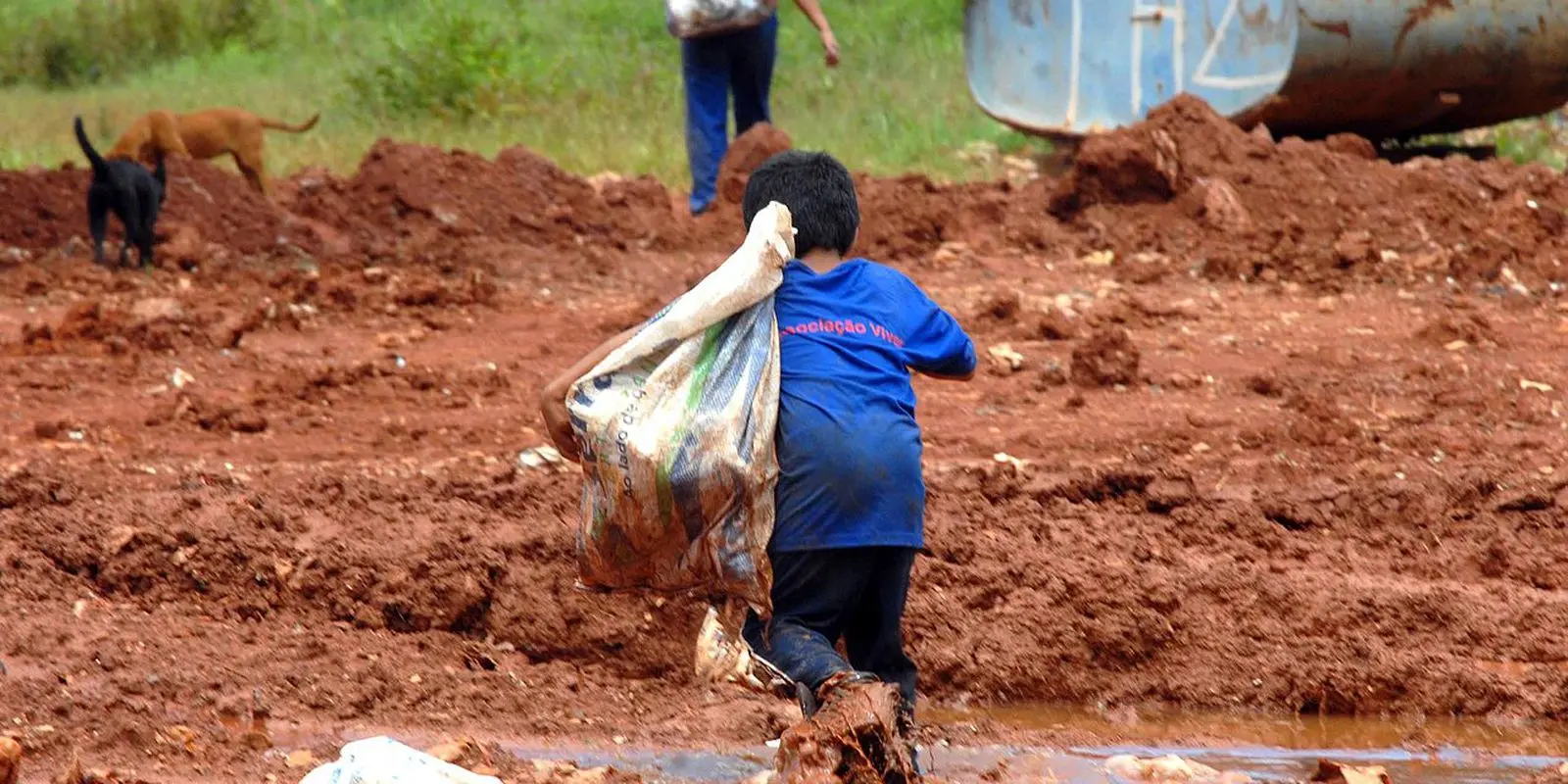 Imagem da notícia: Brasil tem pelo menos 32 milhões de crianças e adolescentes vivendo na pobreza, alerta Unicef
