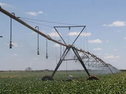 Imagem da notícia: Agronegócio já participa com 19% do PIB do Ceará, diz a Faec
