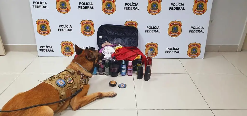 Imagem da notícia: Passageira é presa ao transportar droga escondida em vinhos, sucos e perfumes no Aeroporto 