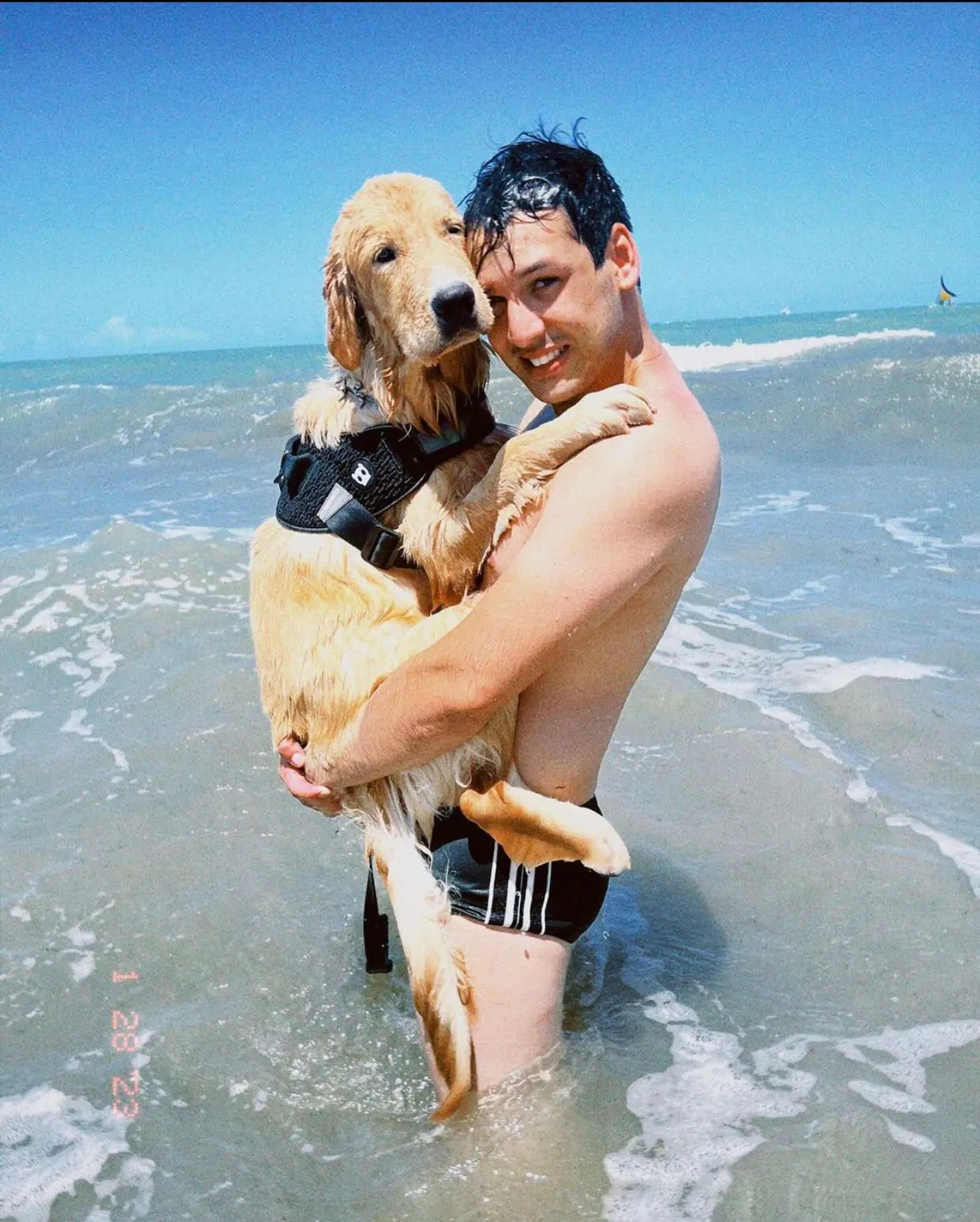 O golden retriever Juca tem oito meses e aparecia frequentemente nas redes sociais de Rickon Pinto e Yanny Brena