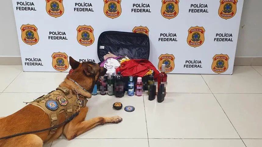 A mulher foi flagrada no embarque, com a ajuda do cão farejador Inu, da PF