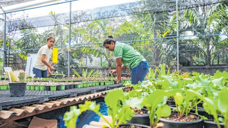 Imagem da notícia: Faec e Embrapa Agroindústria Tropical unem-se pelo agro cearense
