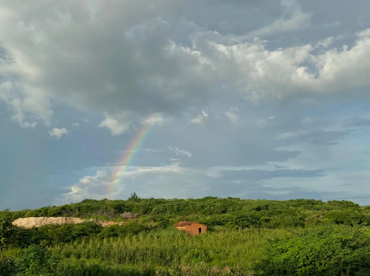 No interior do Ceará, quando as nuvens escurecem no horizonte no dia de São José, é festa