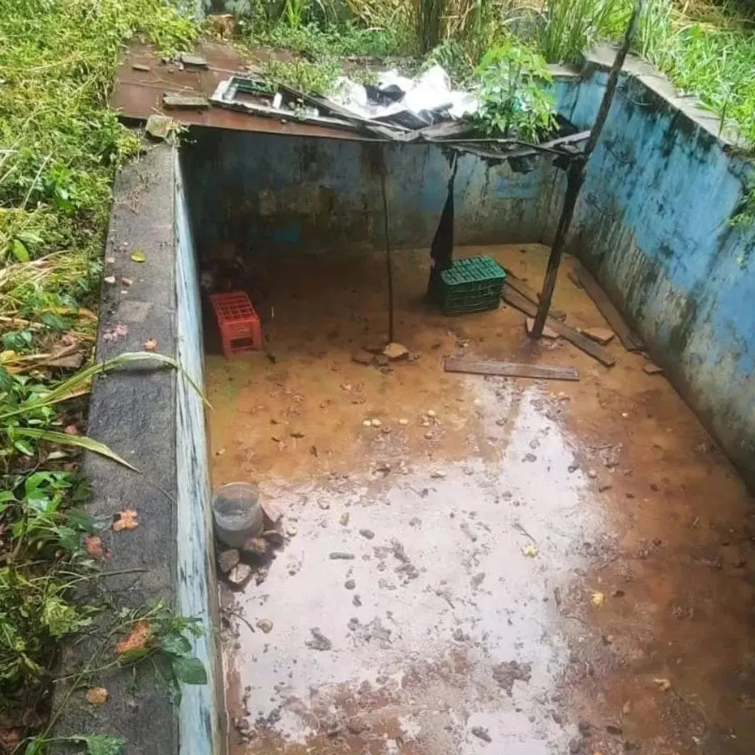 Imagem da notícia: Suspeito de maus-tratos a quatro cachorros é preso no Interior do Ceará