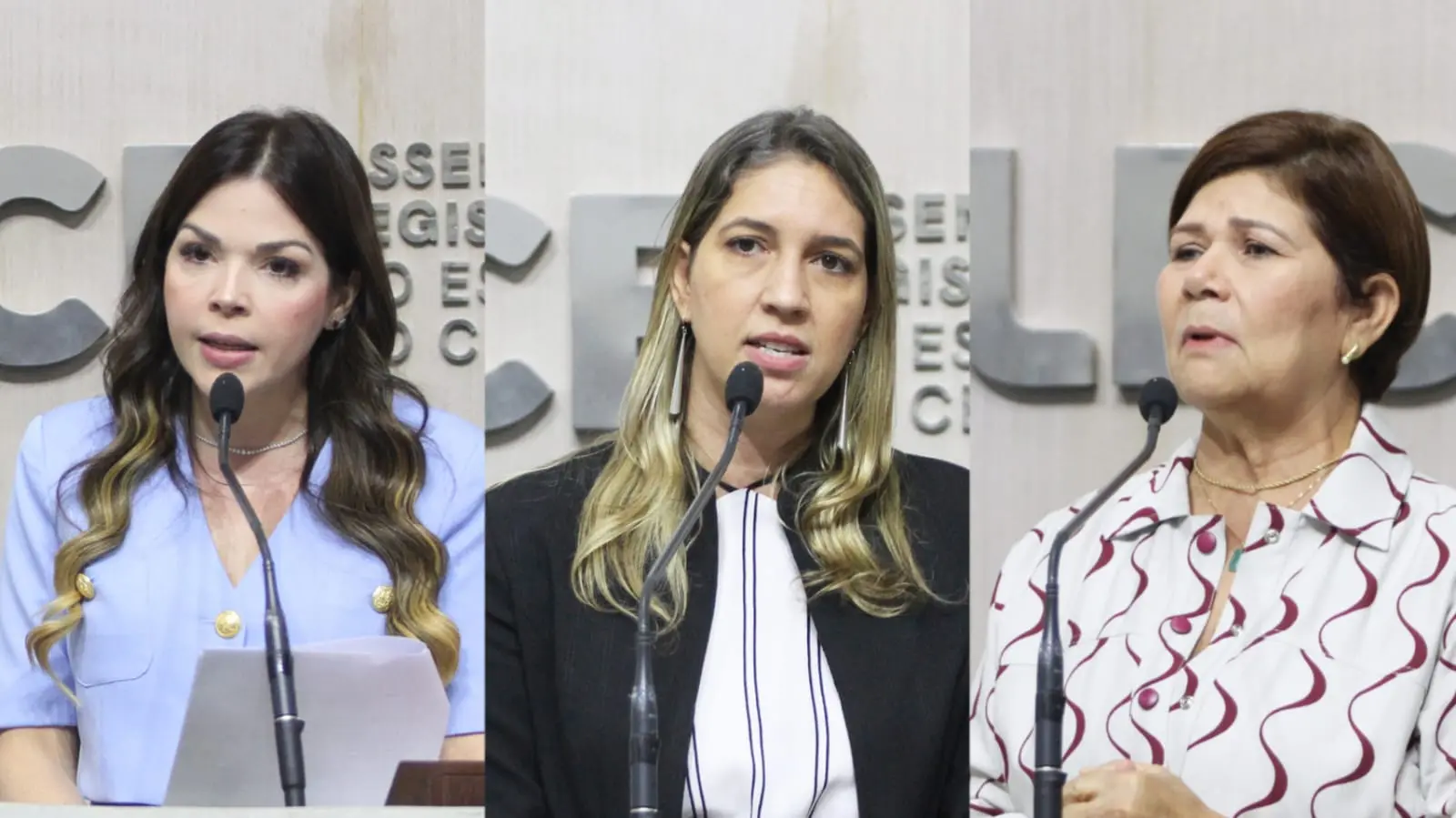 Imagem da notícia: Por que é grave a violência política de gênero sofrida por deputadas do Ceará em fala de vereador 