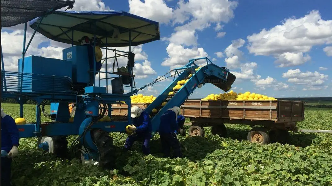 Imagem da notícia: Cearense na diretoria de Logística da Abrafrutas