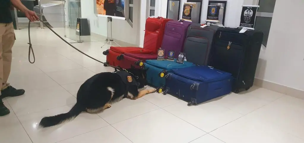 Imagem da notícia: Oito pessoas são presas em embarque no Aeroporto de Fortaleza por tráfico internacional de drogas 
