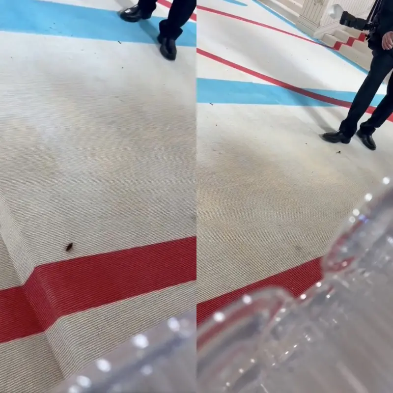 Imagem da notícia: Barata rouba a cena no Met Gala, e vídeo viraliza nas redes sociais