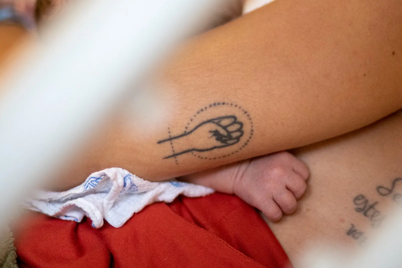 Imagem da notícia: Como nasce uma mãe