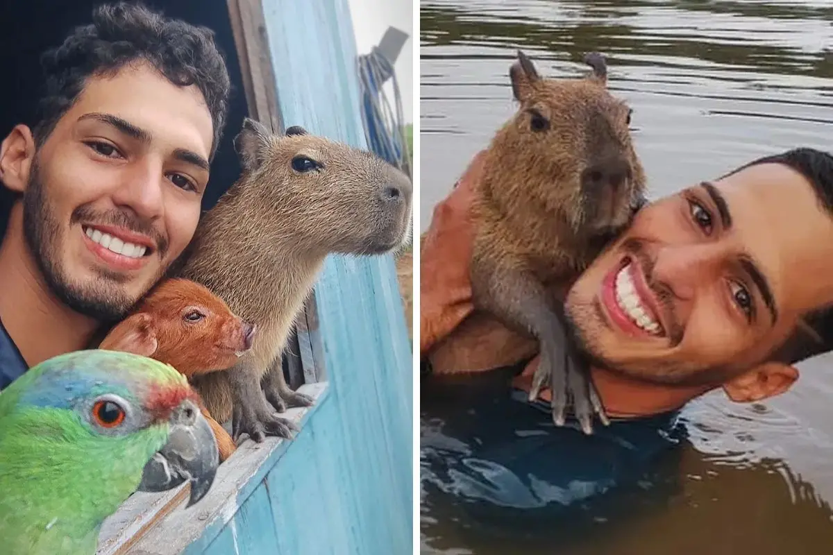 Imagem da notícia: Influenciador que cria capivara Filó ganhou 2 milhões de seguidores após polêmica com o Ibama
