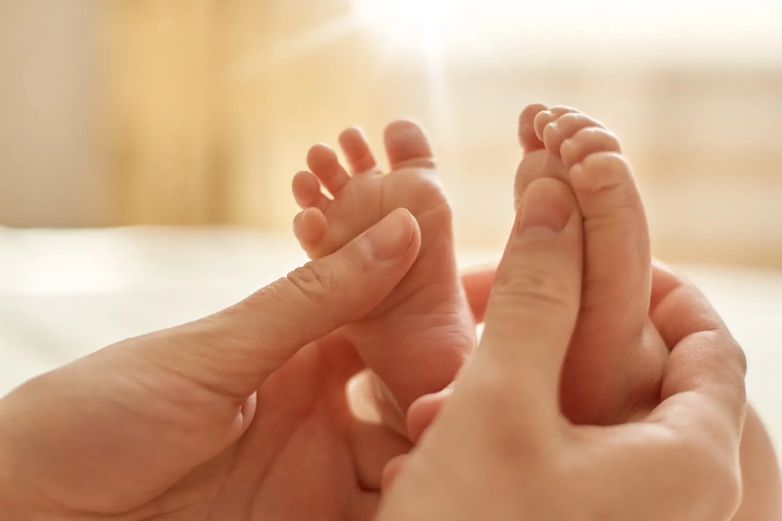 Imagem da notícia: A vida nada ordinária de um bebê