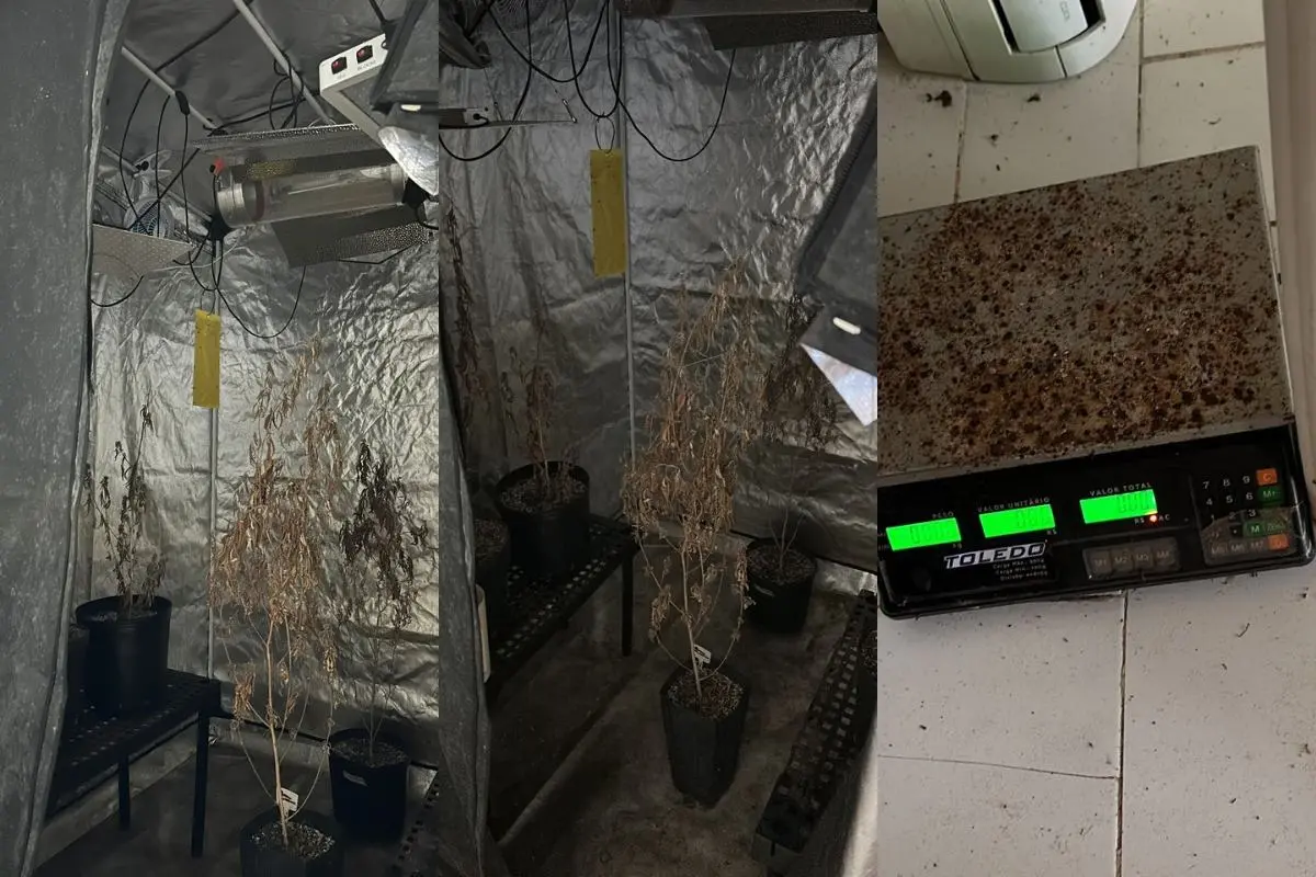 Imagem da notícia: Homem é preso por manter laboratório de drogas em casa no bairro Sabiaguaba, em Fortaleza 