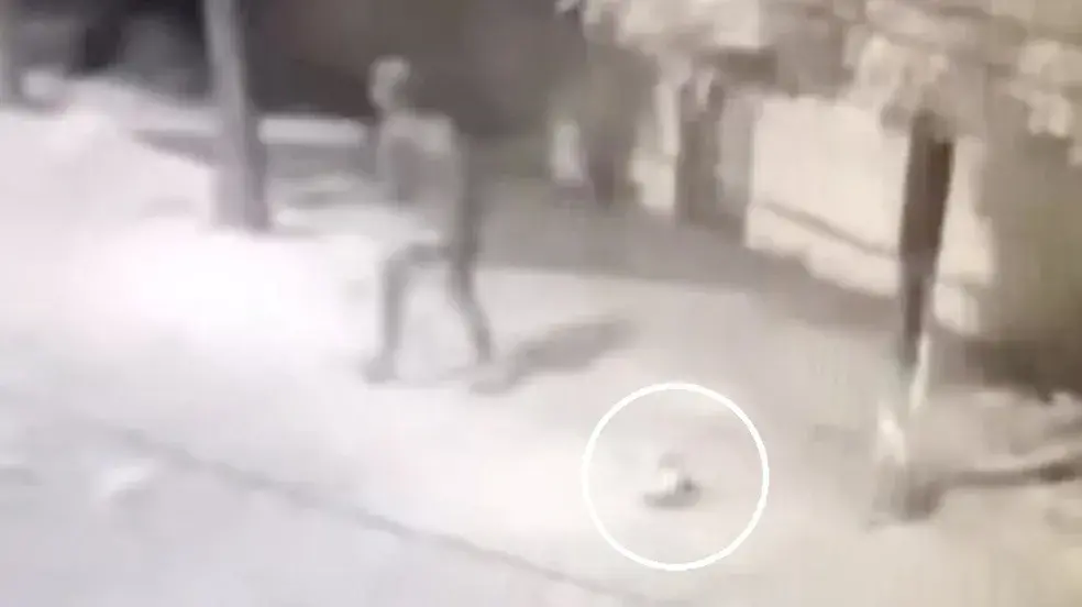 Imagem da notícia: Suspeito de matar cães a pauladas e agredir mulher é preso em Canindé