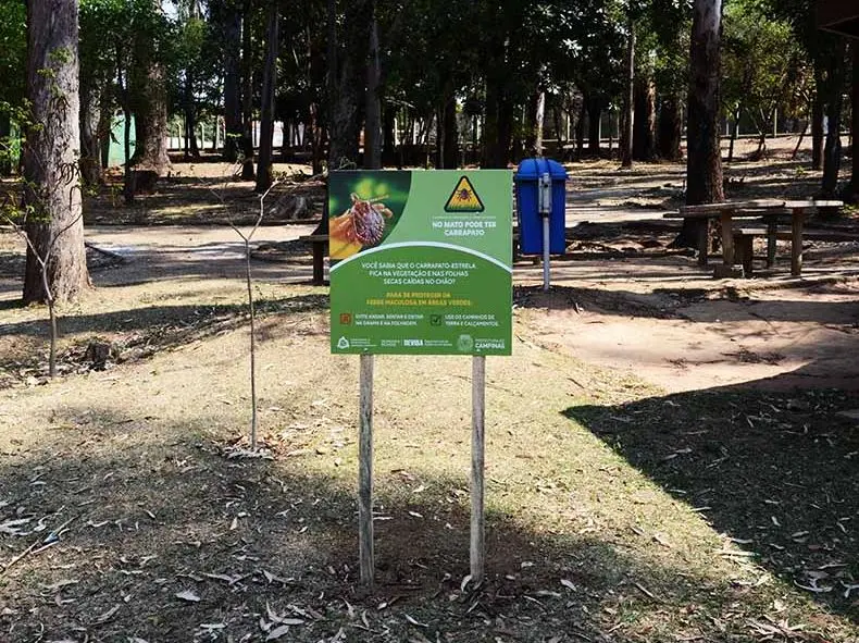 Imagem da notícia: Terceiro registro de febre maculosa é notificado em Campinas após morte de casal 