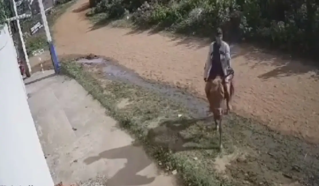 Imagem da notícia: A cavalo, homem pratica assalto no interior do Ceará; veja vídeo