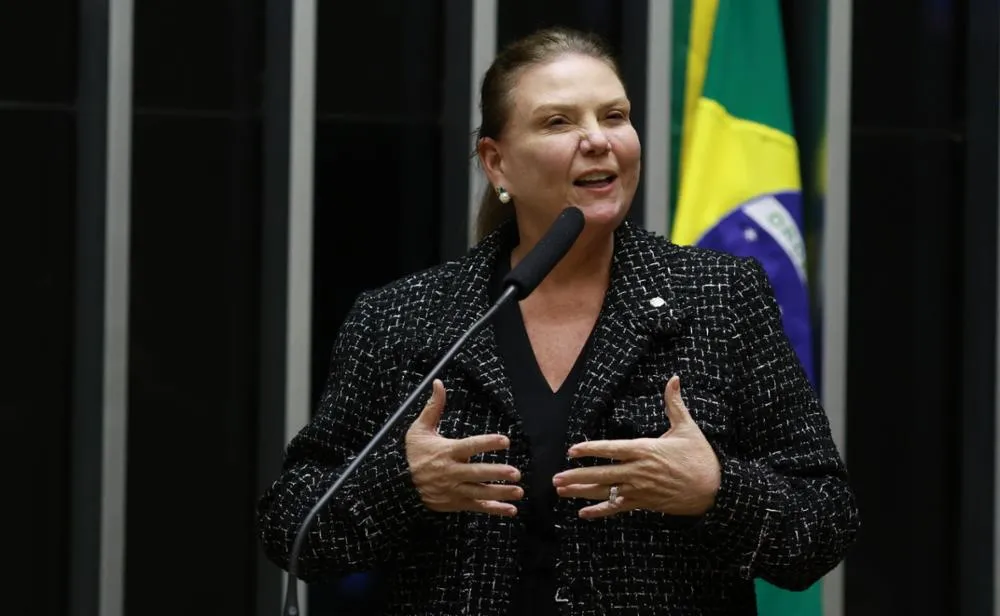 Fernanda Pessoa apontou falhas na articulação da relação entre Poder Executivo e Parlamento