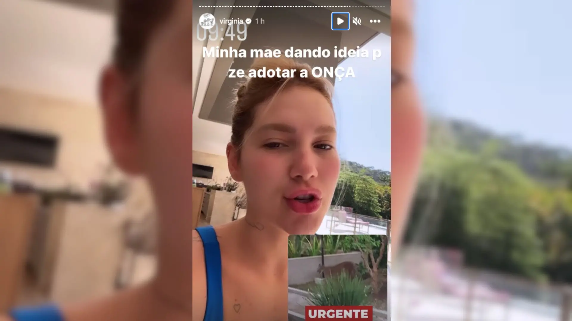 Imagem da notícia: Virginia diz que onça está rondando condomínio, e Zé Felipe brinca: 'Eu sempre quis ter uma onça'