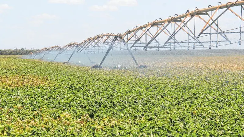 Imagem da notícia: Bolsa cai mesmo com boas notícias. Volks suspende produção