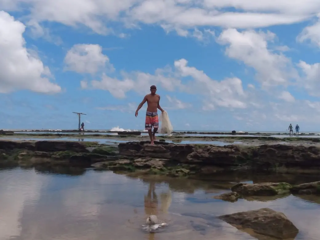 Imagem da notícia: Entre peixe-leão e ocupações, comunidade em Fortaleza vela terra e mar para salvar sua história 