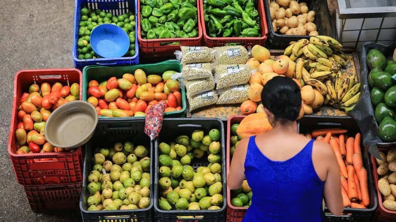 Imagem da notícia: Com a Reforma Tributária, os preços dos produtos da cesta básica vão cair? Entenda 
