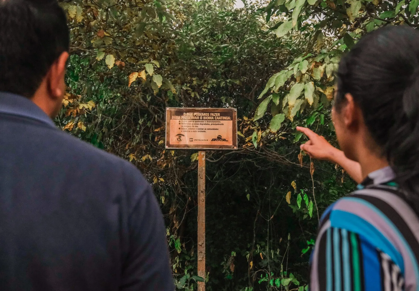 Bioma Caatinga em trilha na cidade de Icapuí, no Ceará