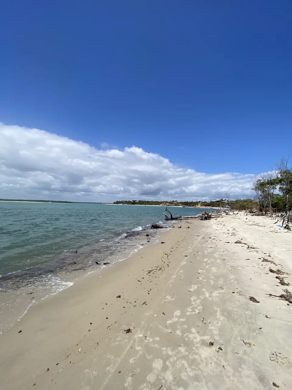 Imagem da notícia: Hotel de luxo em praia no Ceará é denunciado por construção em faixa de areia