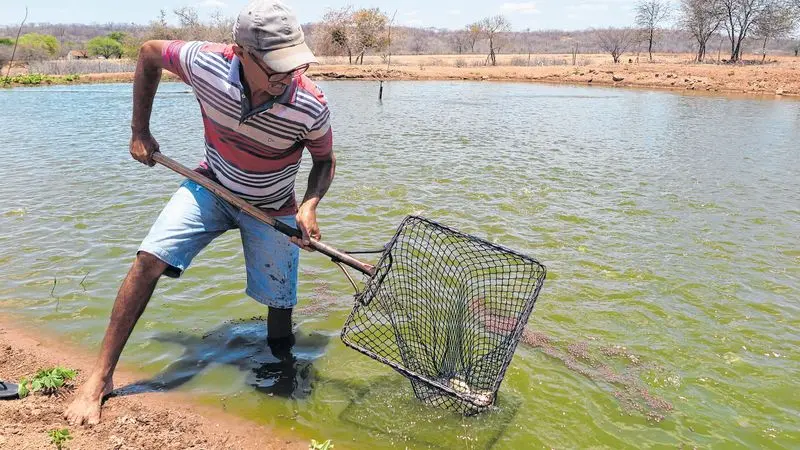 Imagem da notícia: Criar tilápia no Castanhão com pouca água é atividade ilegal