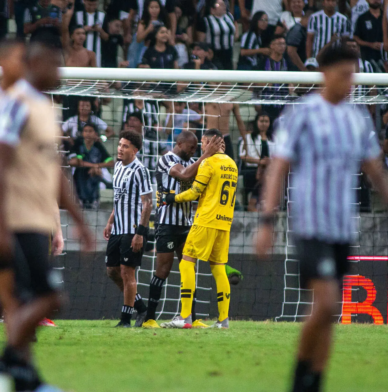 capa da noticia