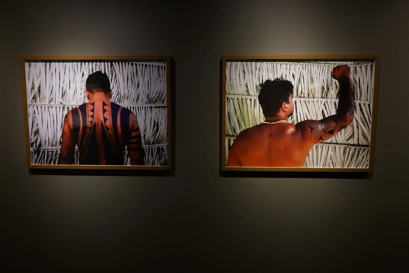 Imagem da notícia: Unifor Plástica chega aos 50 anos com edição comemorativa de arte em diversas mídias  